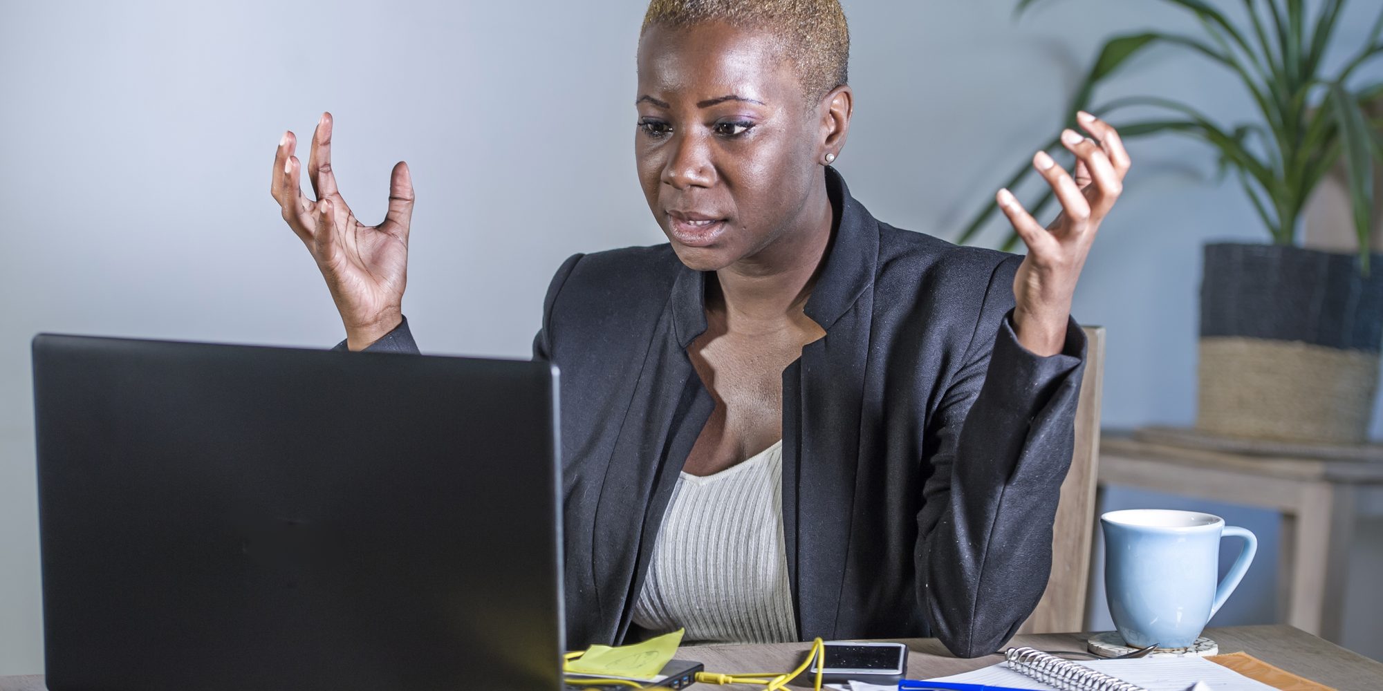 ad grants campaign not showing